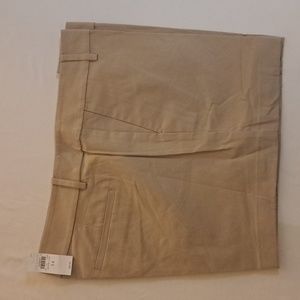 Ann Taylor - City Short